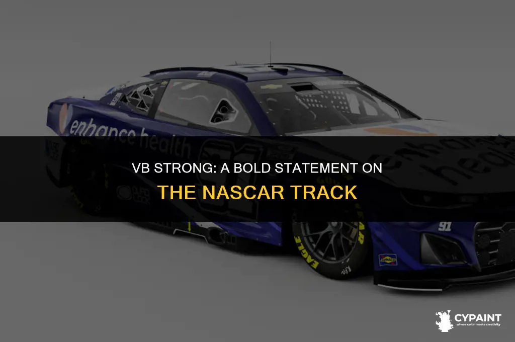 who is driving in nascar with vb strong paint job