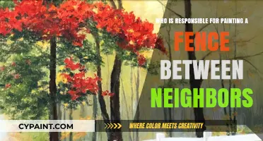 Who Bears the Burden: Painting the Shared Fence Dilemma Explained