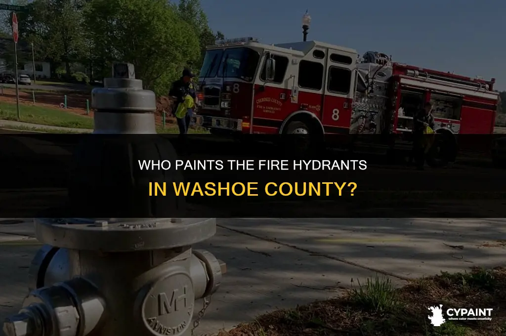 who is responsible for painting fire hydrants in washoe county