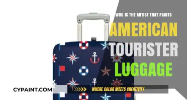 Unveiling the Creative Mind Behind American Tourister Luggage Artistry