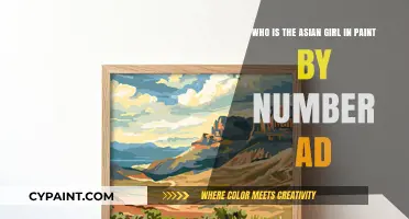 Unveiling the Mystery: The Asian Girl in Paint by Number Ads