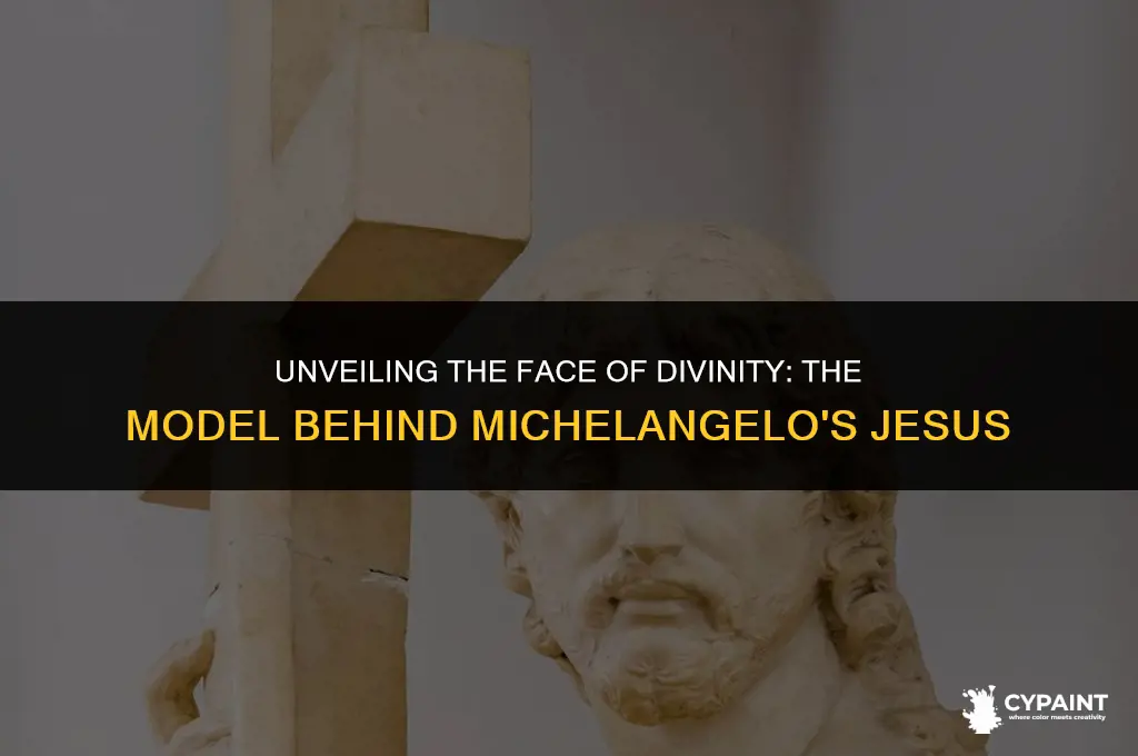who is the model for michael angelos painting of jesus