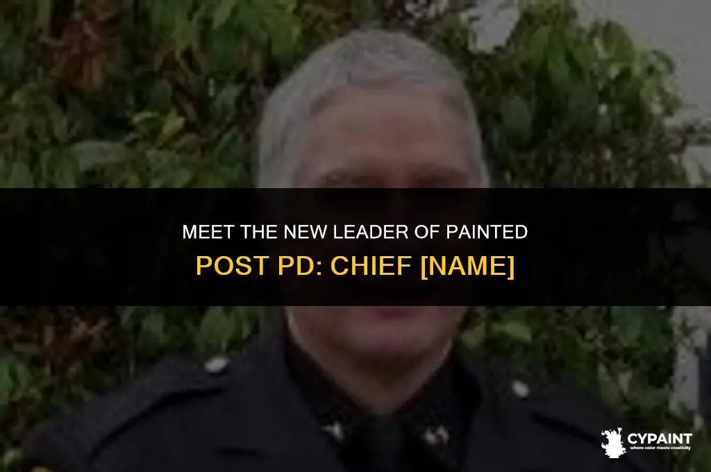 who is the new police chief in painted post ny