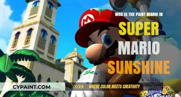 Unmasking Paint Mario: The Mystery in Super Mario Sunshine