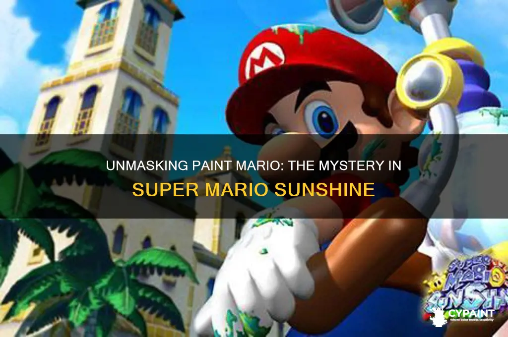 who is the paint mario in super mario sunshine