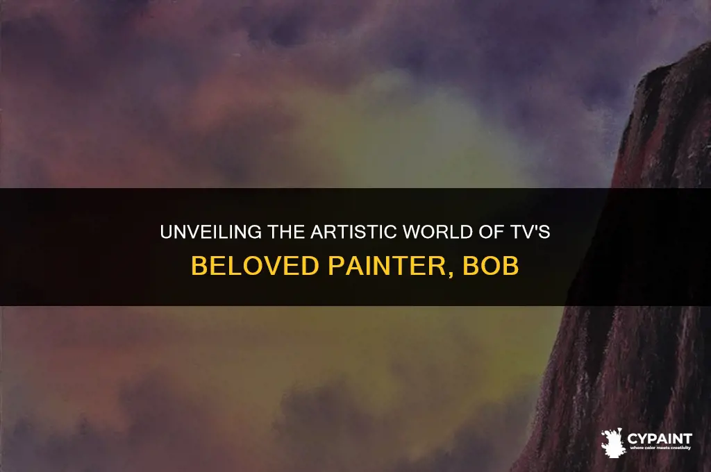 who is the painter on tv first name is bob