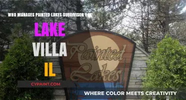 Exploring the Management of Painted Lakes Subdivision 1 in Lake Villa, IL