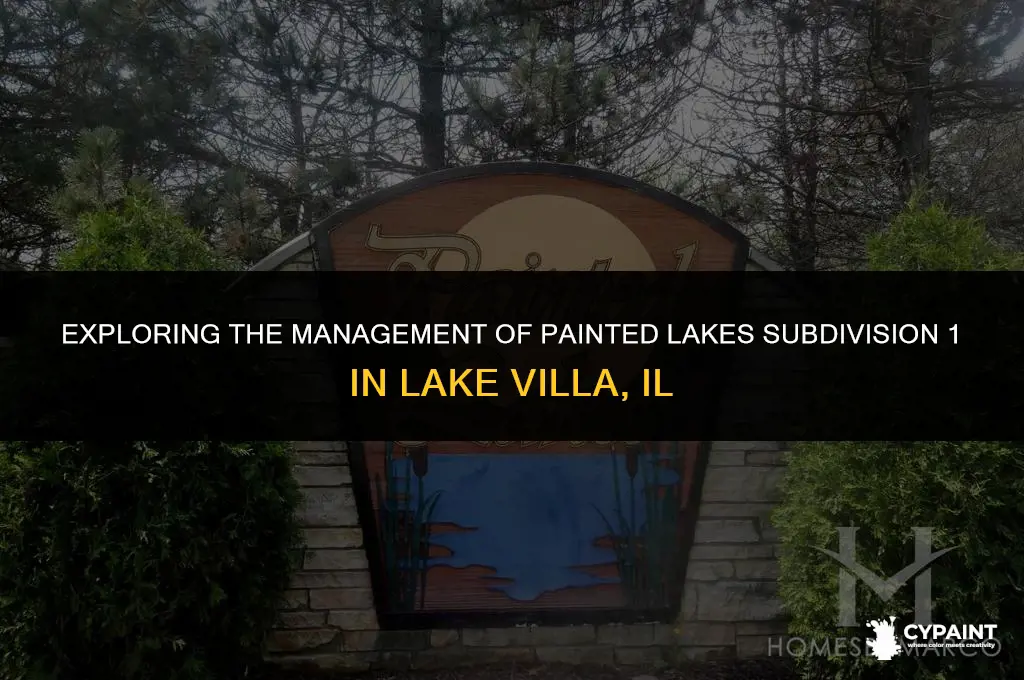 who manages painted lakes subdivison 1 in lake villa il