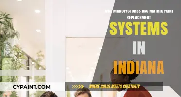 Indiana's DBC Matrix Paint Replacement Systems: Top Manufacturers Revealed