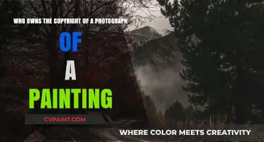 Unraveling Copyright Mysteries: Photographing Paintings and Ownership Rights