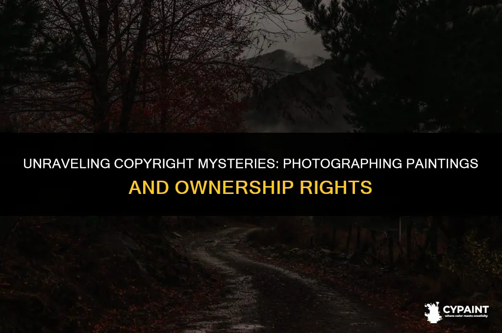 who owns the copyright of a photograph of a painting