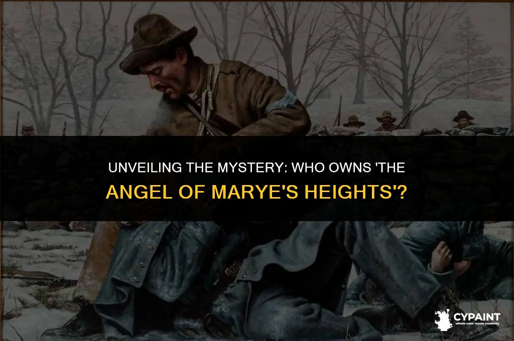 who owns the painting the angel of marye