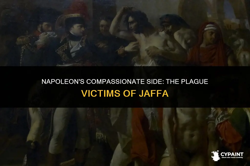 who painted napoleon visiting the plague victims at jaffa 1804