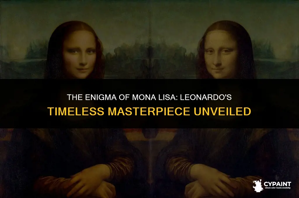 who painted the mona lisa and why is she smiling