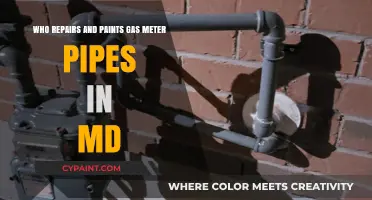 Gas Meter Pipe Repair and Painting Services in Maryland