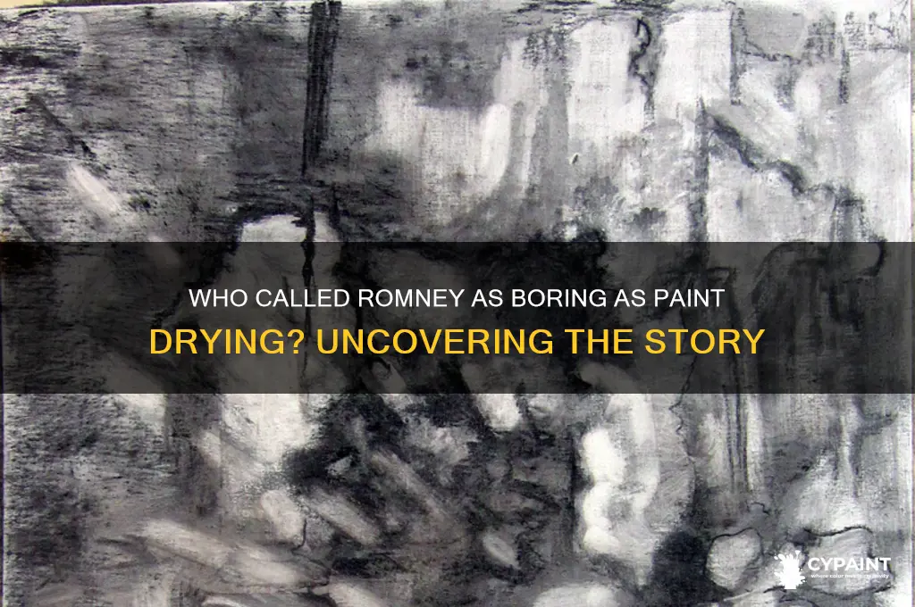 who said that romney was boring as paint drying