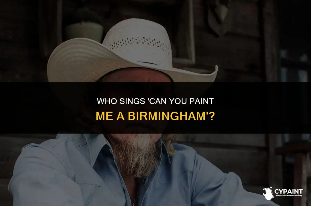 who sings can you paint me a birmingham