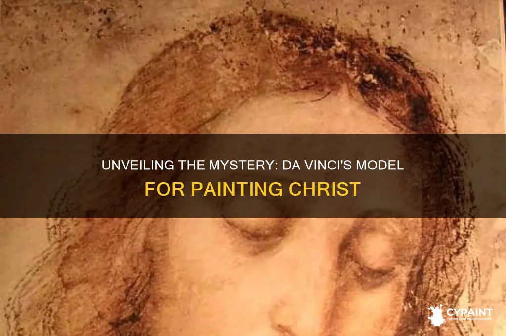 who was da vinci
