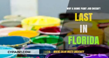 Florida's Harsh Climate: Why Home Paint Jobs Don't Last