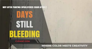 Persistent Paint Bleed on Upholstered Chair: Causes and Solutions