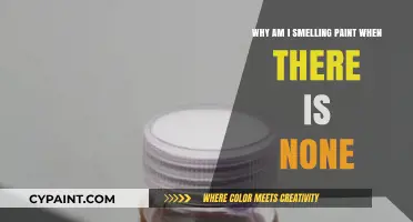 Phantom Paint Smell: Unraveling the Mystery of Nonexistent Odors