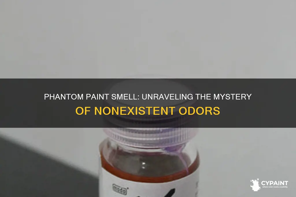 why am i smelling paint when there is none