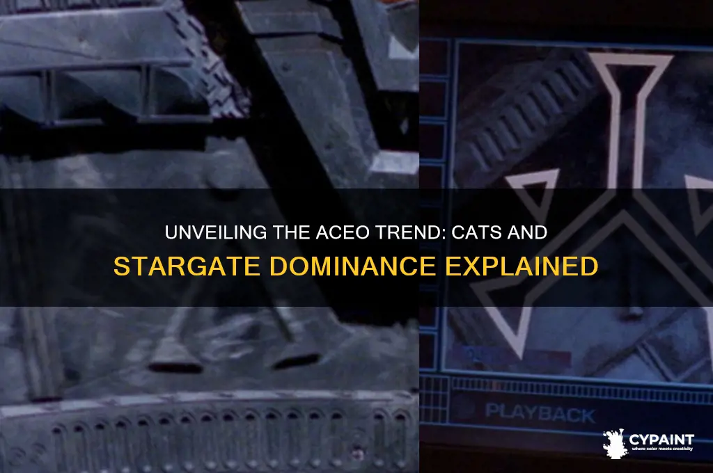 why are all aceo paintings of cats or stargate