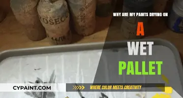 Preventing Paint Dryness: Mastering Wet Pallet Techniques for Artists