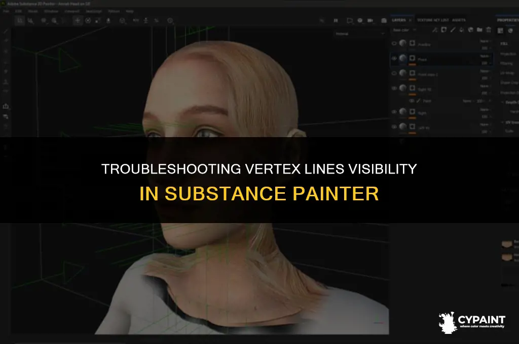 why are my vertex lines showing up in substance painter