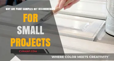 Avoid Paint Samples for Small Projects: Here's Why
