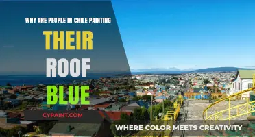 Blue Roofs in Chile: Uncovering the Cultural and Practical Reasons