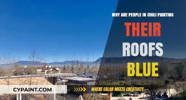Blue Roofs in Chile: Unveiling the Cultural and Practical Reasons