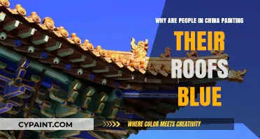 China's Blue Roof Trend: Uncovering the Cultural and Practical Reasons
