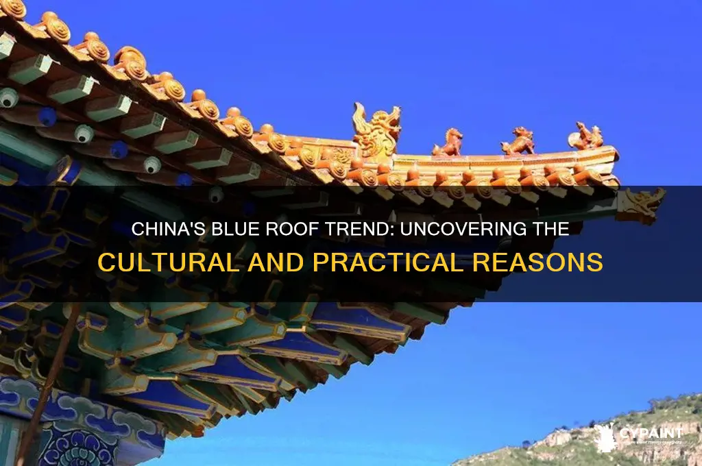 why are people in china painting their roofs blue