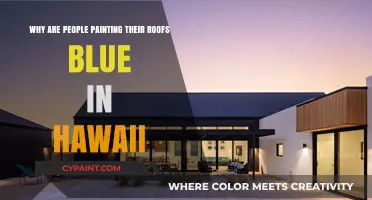 Hawaii's Blue Roofs: Unveiling the Eco-Friendly Trend and Its Benefits
