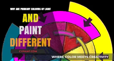 Primary Colors Explained: Why Light and Paint Differ in Basics
