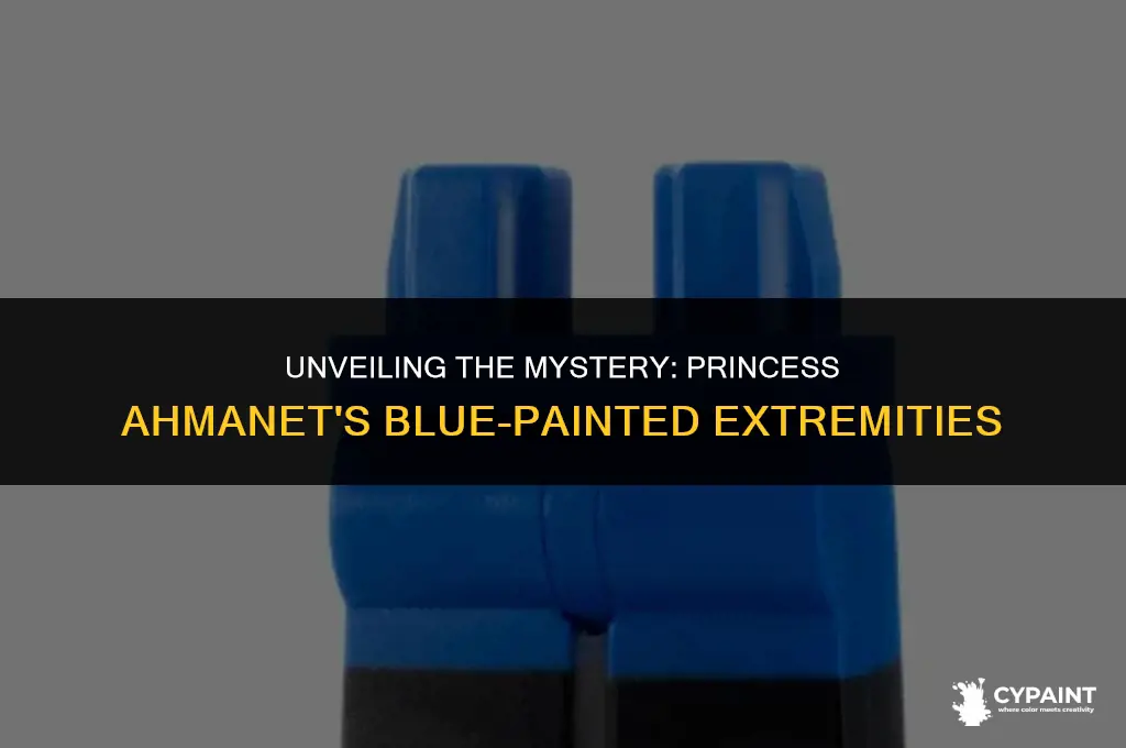 why are princess ahmanet