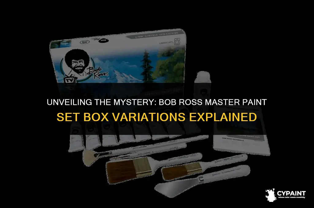 why are the bob ross master paint set boxes different