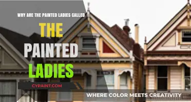 The Colorful History Behind San Francisco's Painted Ladies Nickname