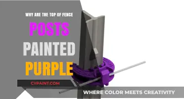 Why Purple Tops Fence Posts: Unveiling the Surprising Reason