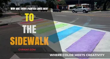 Understanding the Purpose of Painted Lines Next to Sidewalks