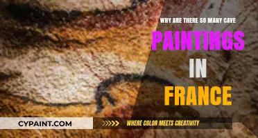 France's Ancient Art: Unveiling the Mystery of Abundant Cave Paintings