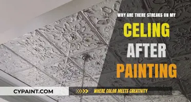 Why Do Streaks Appear on Ceilings After Painting? Explained