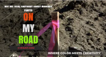 Decoding the Purpose of Temporary Survey Markings on Your Road