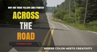 Understanding the Purpose of Yellow Road Lines: A Safety Guide