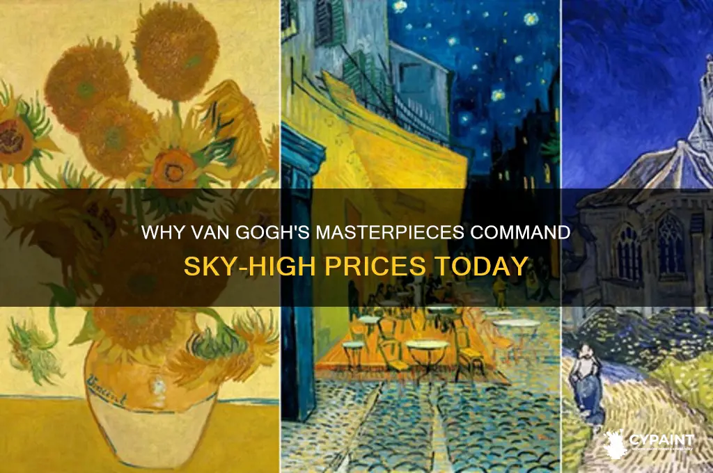 why are vincent van gogh