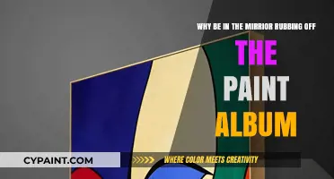 Unveiling the Raw Emotion Behind 'Why Be in the Mirror Rubbing Off the Paint' Album