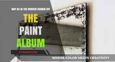 Unveiling the Raw Emotion Behind 'Why Be in the Mirror Rubbin' Off the Paint' Album