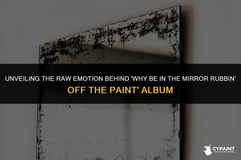 why be in the mirror rubbin off the paint album