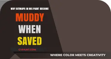 Why MS Paint Bitmaps Turn Muddy After Saving: Explained